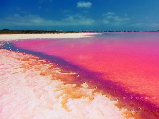 [pink-lagoon%255B4%255D.jpg]