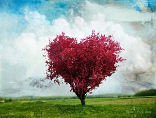 Love_tree_Wallpaper_ofdgi