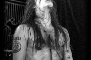 Taake