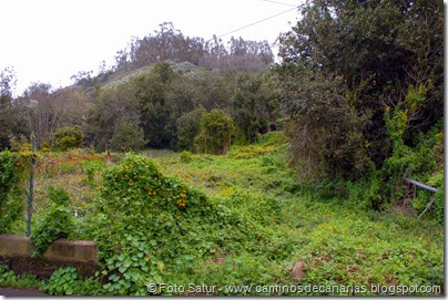 7342 La Laguna-Barranco Laurel(Barranco Monagas) 7342 La Laguna-Barranco Laurel(Barranco Monagas)
