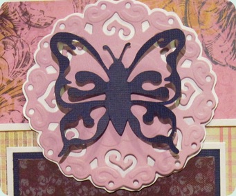 closeup of butterfly and medallion