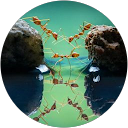 Image Google de sandra blondet