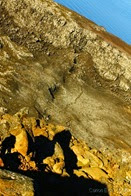 IMG_2358 IMG_2358