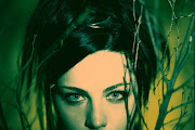 Amy Lee