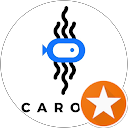 Image Google de Carole Coulon