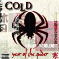 Year Of The Spider