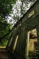 IMG_4475 IMG_4475