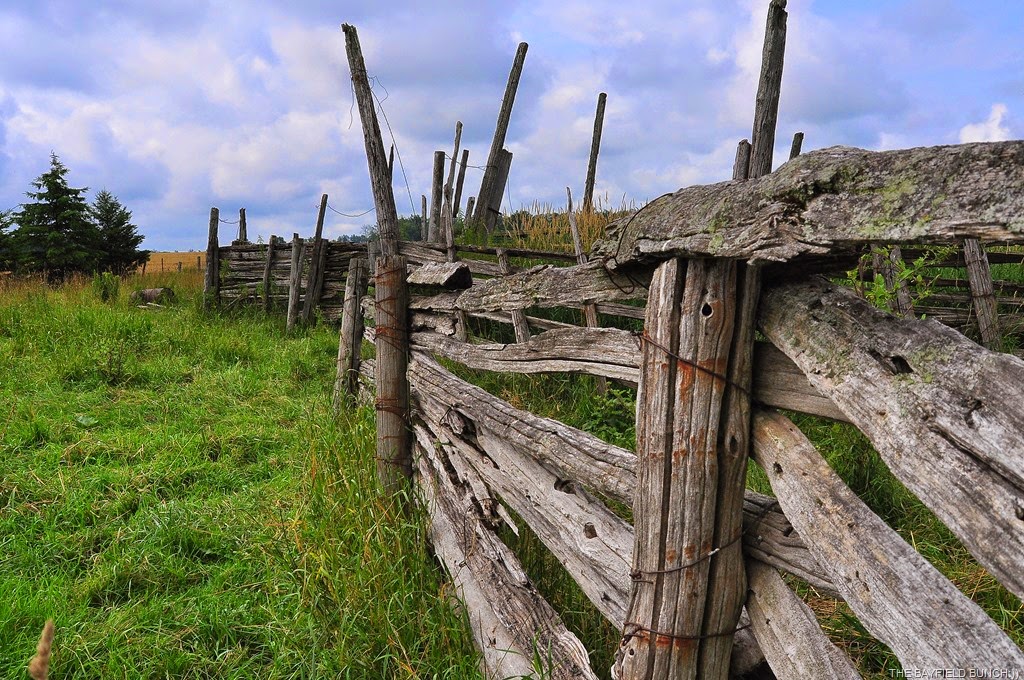 [DSC_0008%255B3%255D.jpg]