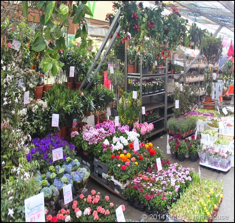 flower market 5