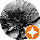 Silvina Moscoloni profile picture