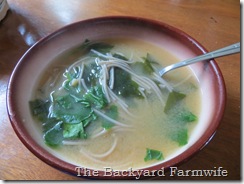 Miso Soup - The Backyard Farmwife