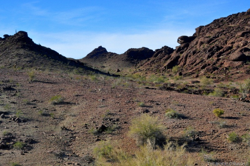 [DSC_0032%255B10%255D.jpg]