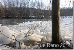 Susquehann River ice jam, by Sue Reno, Image 5