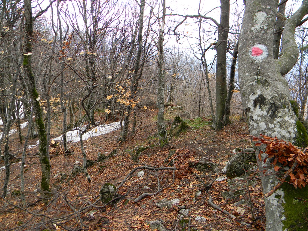 [DSCN79763.jpg]