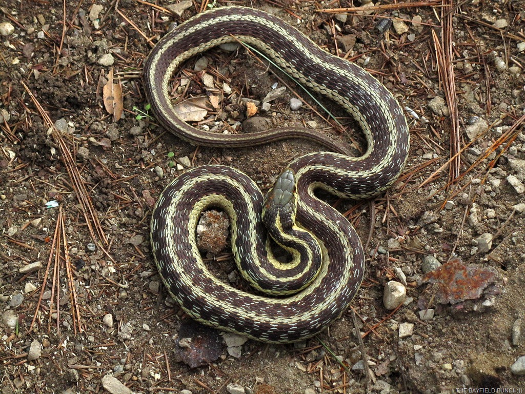 [IMG_2051%255B3%255D.jpg]