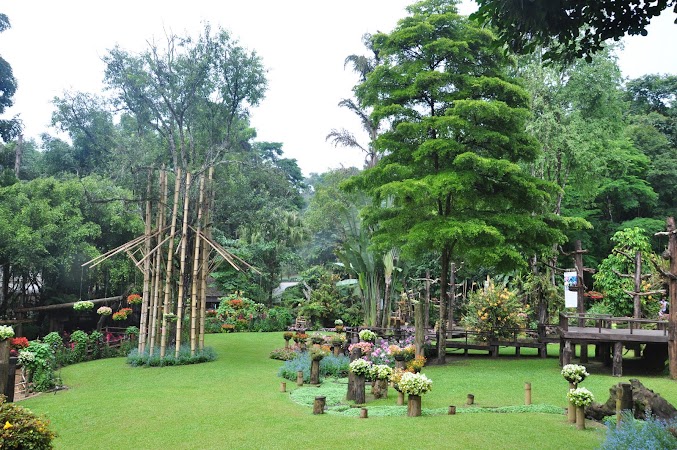 Imagini Thailanda: Gradina Mae Fah Luang de la Doi Tung, Thailanda