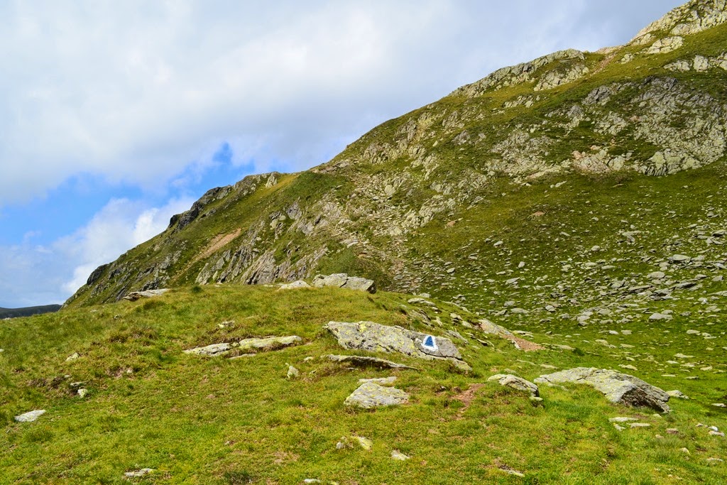 [DSC_49393.jpg]