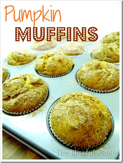 Pumpkin Muffins 007a