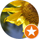 cristina ideo profile picture