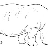 animales salvajes 11.jpg