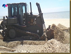 Blog Gazeta de Espinho025Livro MCS