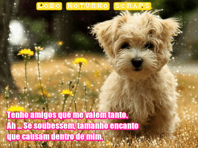 photo_name.gif