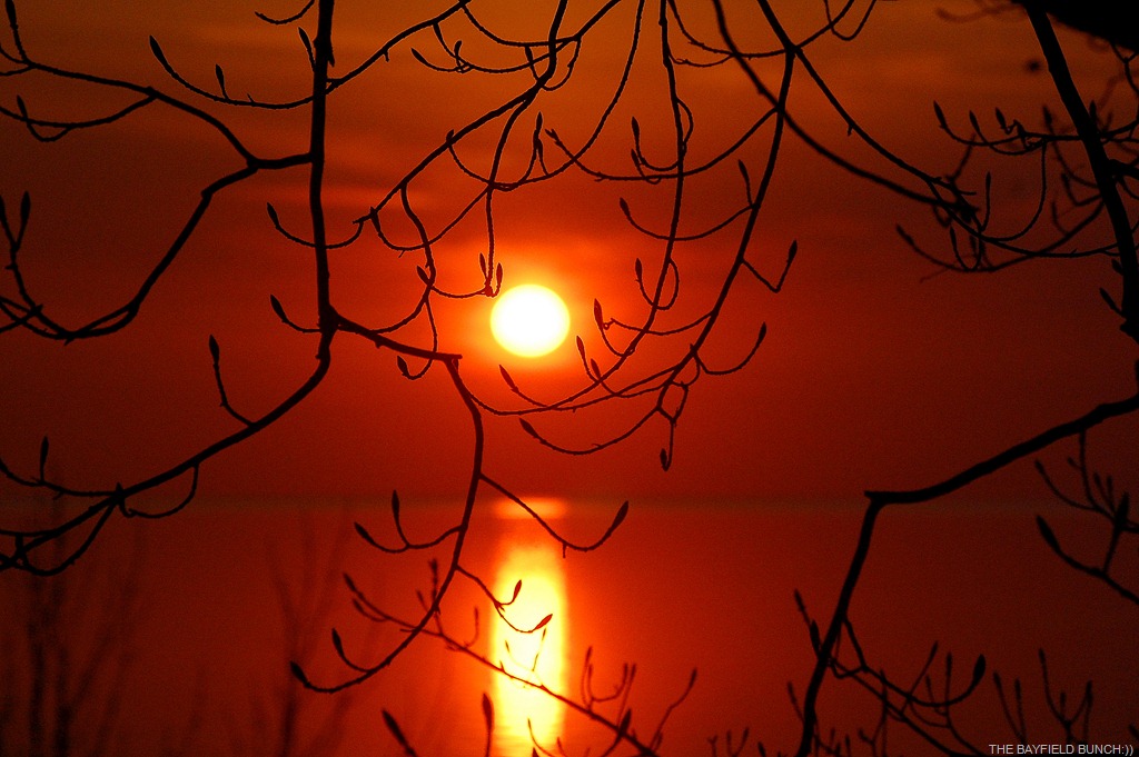 [DSC_7026%255B5%255D.jpg]