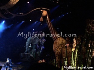 Lion King Disneyland HK 06 Lion King Disneyland HK 06