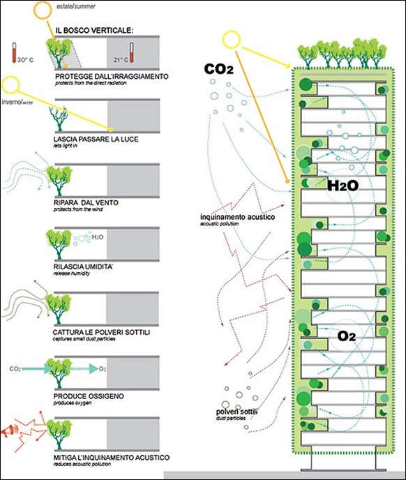 First-Vertical-Forest-07