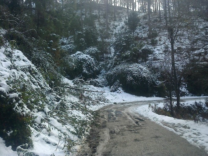 Snow