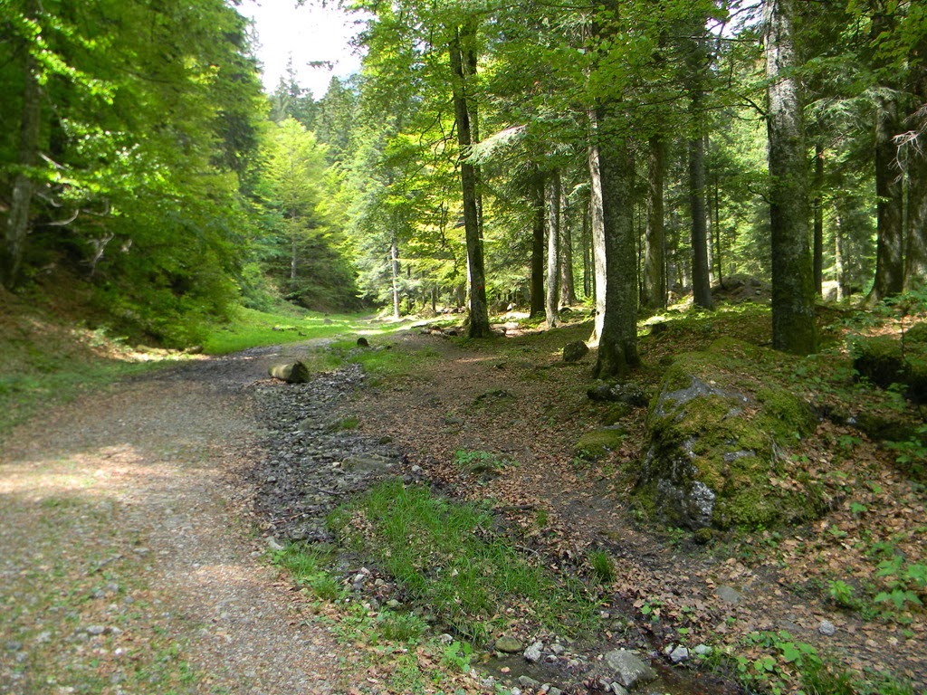 [DSCN95943.jpg]