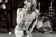 Iggy Pop