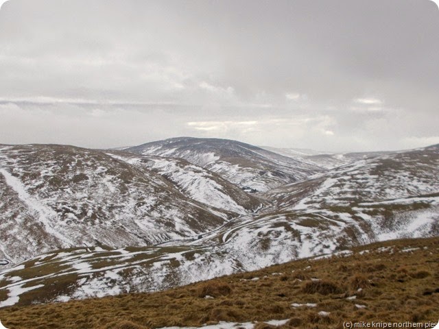 view from broadside law