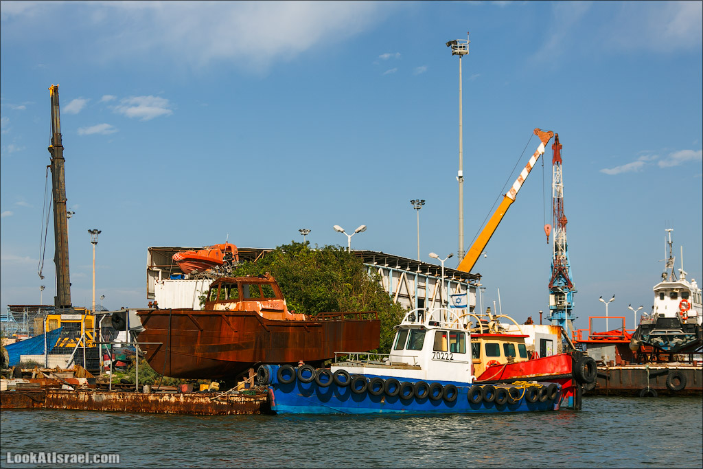 LookAtIsrael.com - Восстановление реки Кишон | Recovering Kishon river | שיחזור נחל קישון
