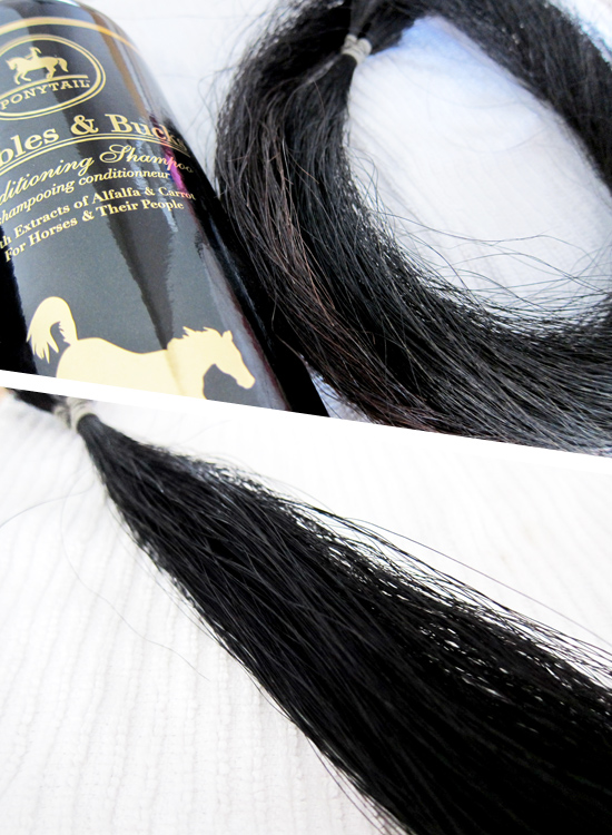Washing horsehair to prepare it for creating horsehair jewelry