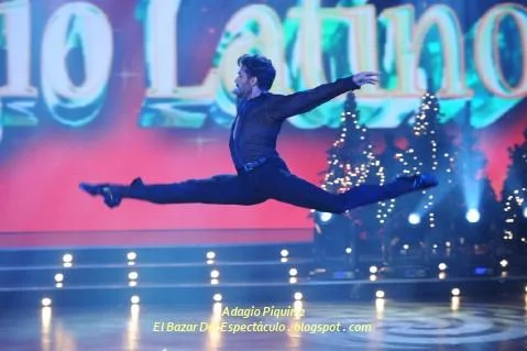 Adagio Piquin 2.JPG