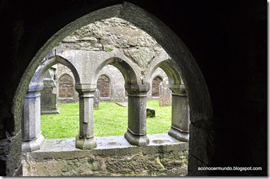 Connemara. Headford. Ruinas del convento Ross Errilly - DSC_0344