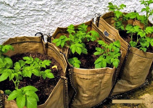 [clip_image008%255B3%255D.jpg]