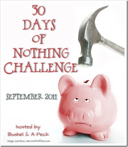 30-Days of Nothing Challenge