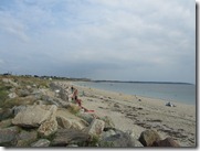 IMG_5217 IMG_5217