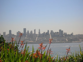 308 - Vistas de San Francisco.JPG