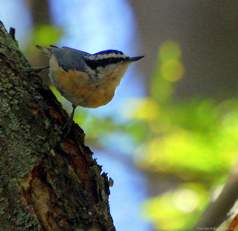 [DSC_3137%255B4%255D.jpg]