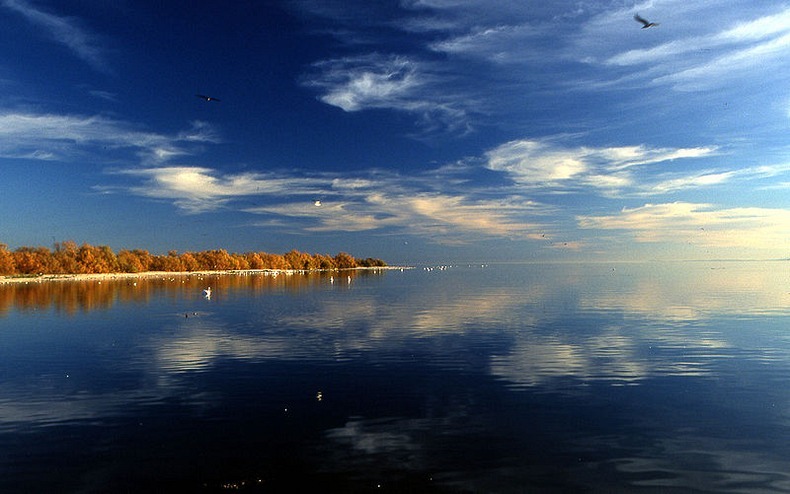 salton-sea-18 salton-sea-18