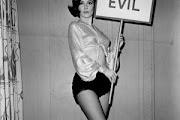 shelley fabres