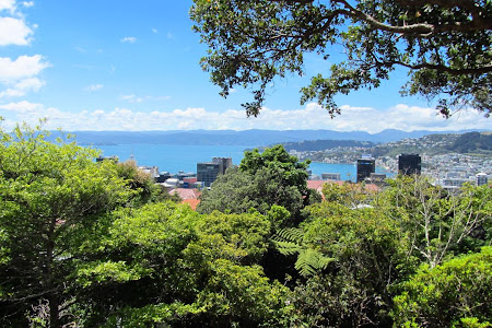 Obiective turistice Wellington: vazut din varful gradinii botanice