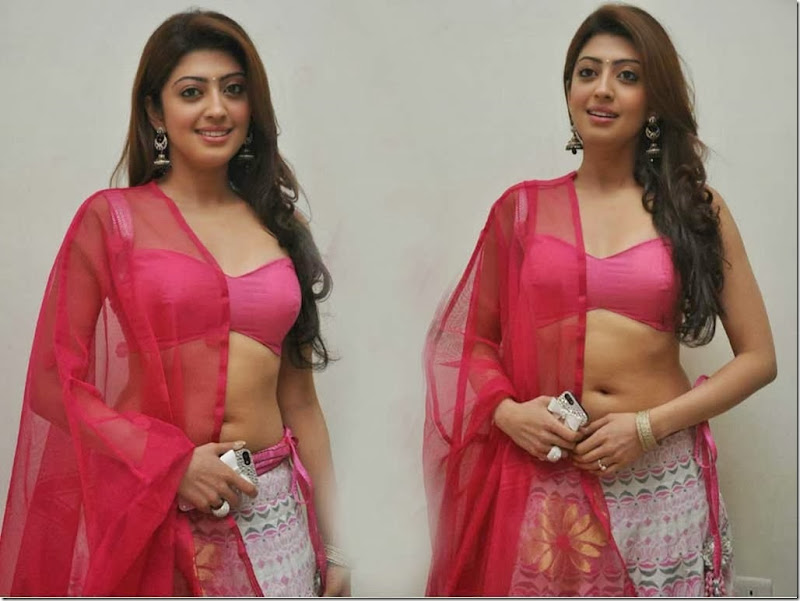 pranitha_Hot  (1)