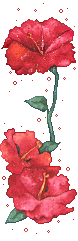 a_210807230336.png