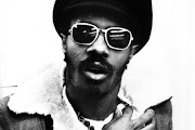 Stevie Wonder