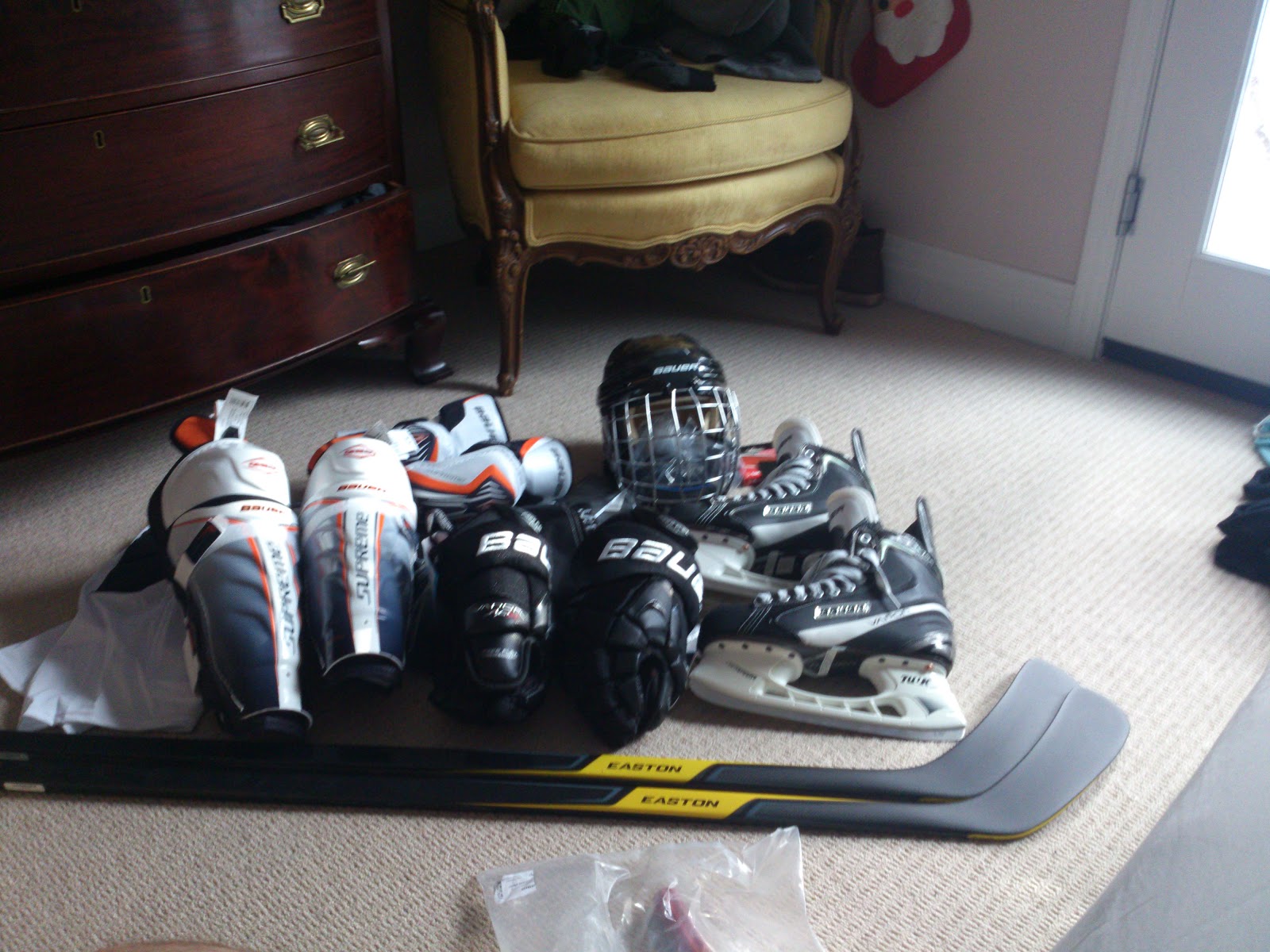 How To Spend A Year New hockey equipment!