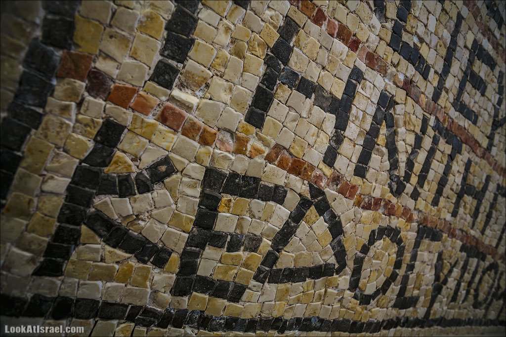 Музей мозаик Добрый Самаритянин | LookAtIsrael.com - Фотопутешествия по Израилю